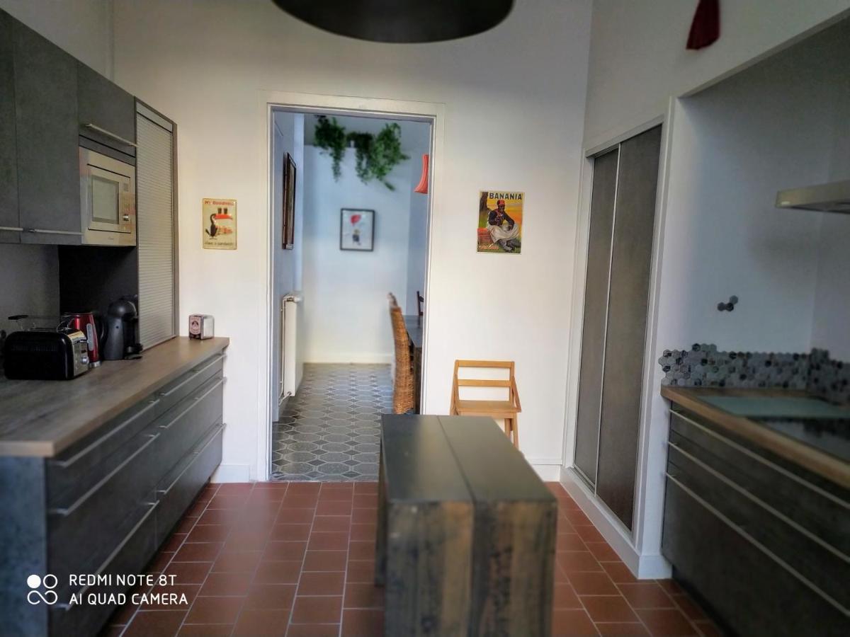 Le Selamat, Logis Xxl Au Calme Avec Terrasse Carcassonne Exterior foto